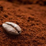 El Ghonemy Mixed Light Roast Coffee