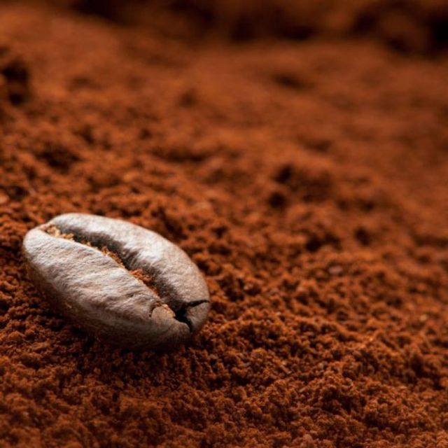 El Ghonemy Mixed Light Roast Coffee