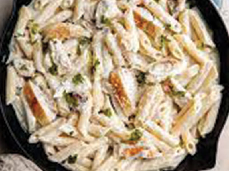 Chicken Alfredo Penne pasta