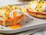 Turkey Benedict