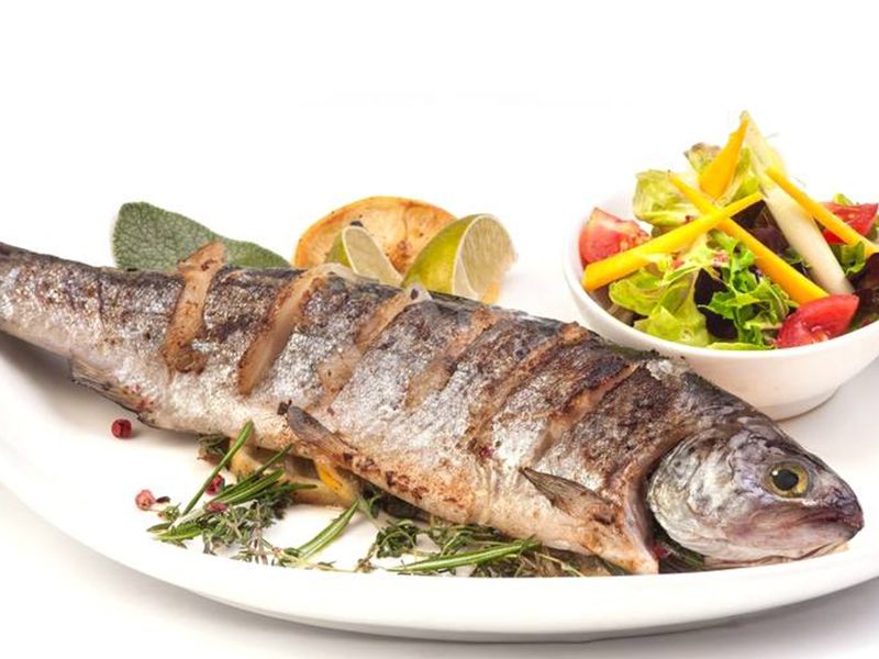 Grey Mullet Fish