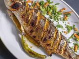Grey Mullet Fish