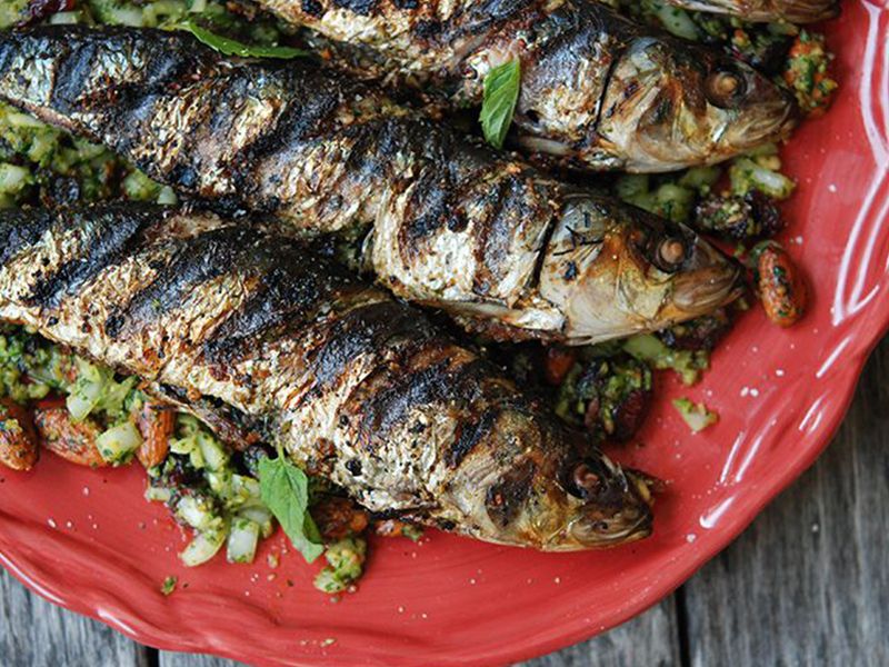 Grey Mullet Fish meal