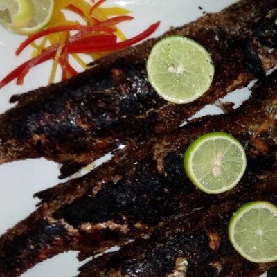 Grey Mullet Fish