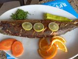 Grey Mullet Fish Meal