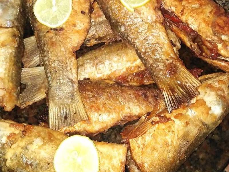 Grey Mullet Fish