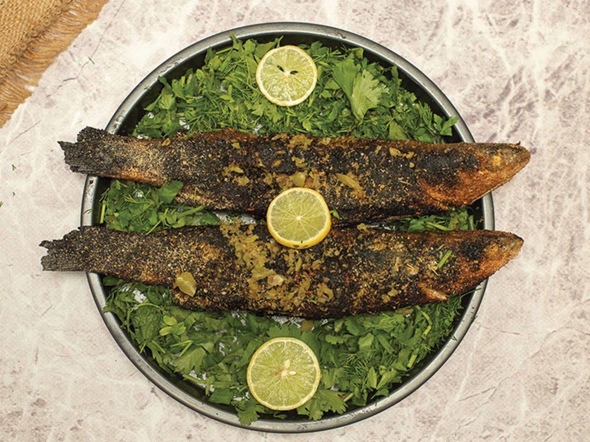 Grey Mullet Fish