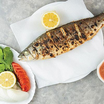 Grey Mullet