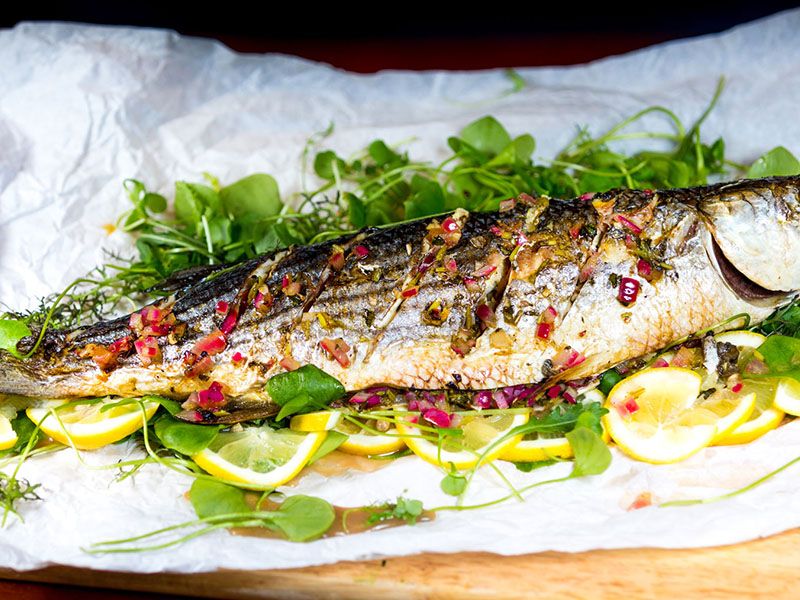 Italian Grilled Grey Mullet Fish