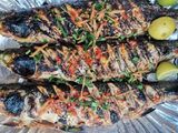 Grey Mullet Fish Meal