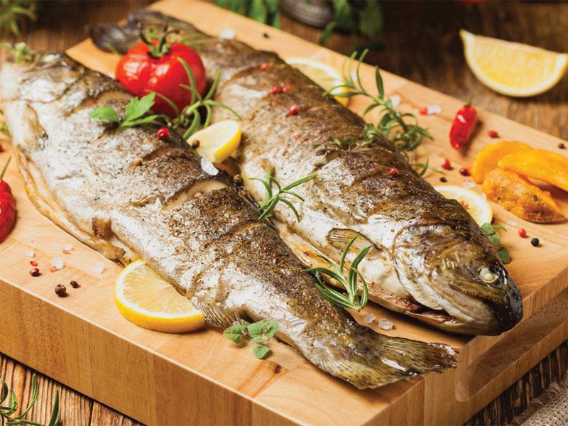Mullet Fish