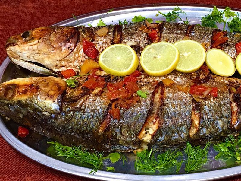 Singary Mullet Fish