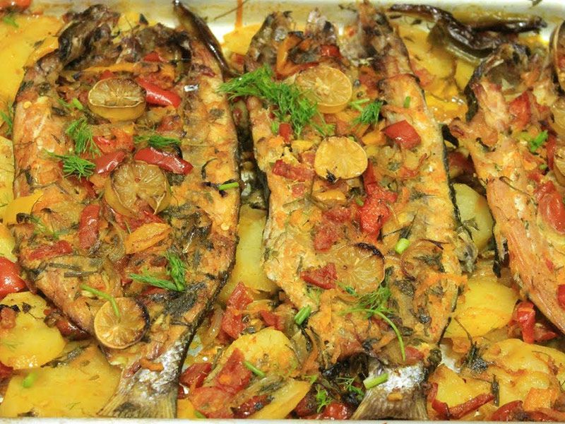 Chinese Mullet Fish