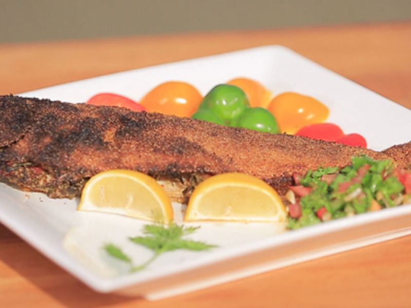 Grey Mullet Fish