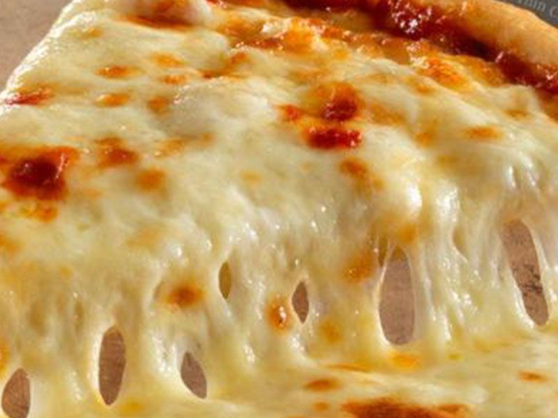 cheese pizza