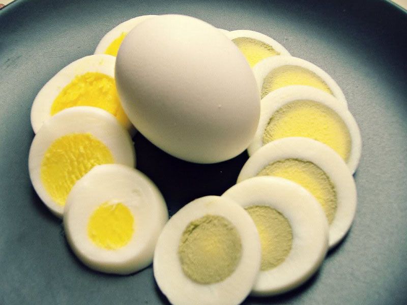 Boiled Egg