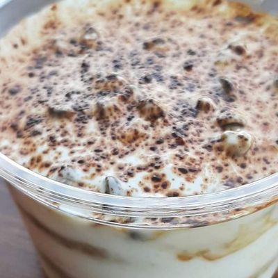 Termesio