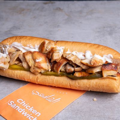 Chicken Shawarma