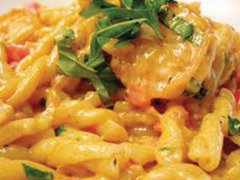 Shrimp Cheese Pasta