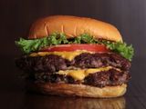 Special Cheese Burger Sandwich