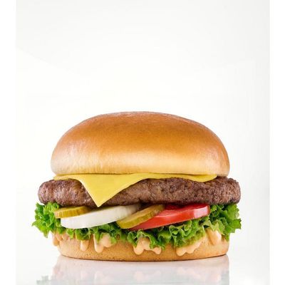 Cheese burger sandwich