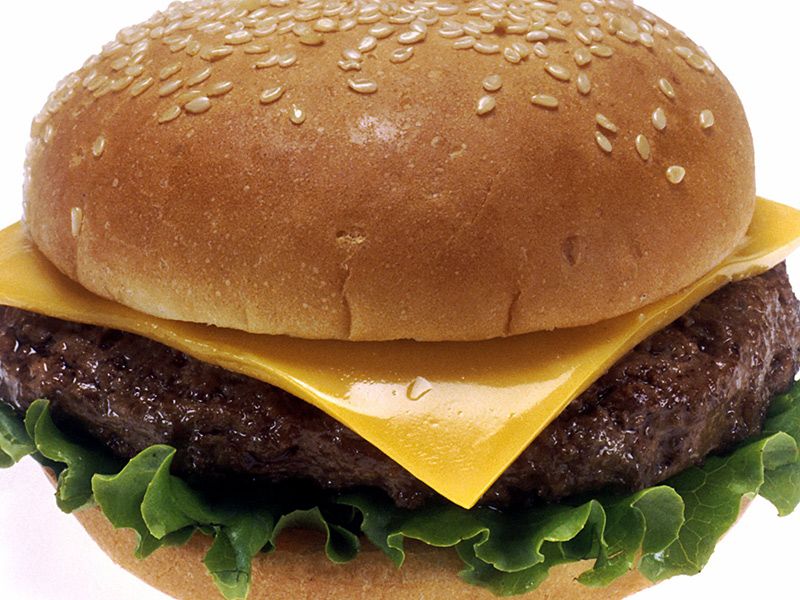 Cheese Burger Sandwich