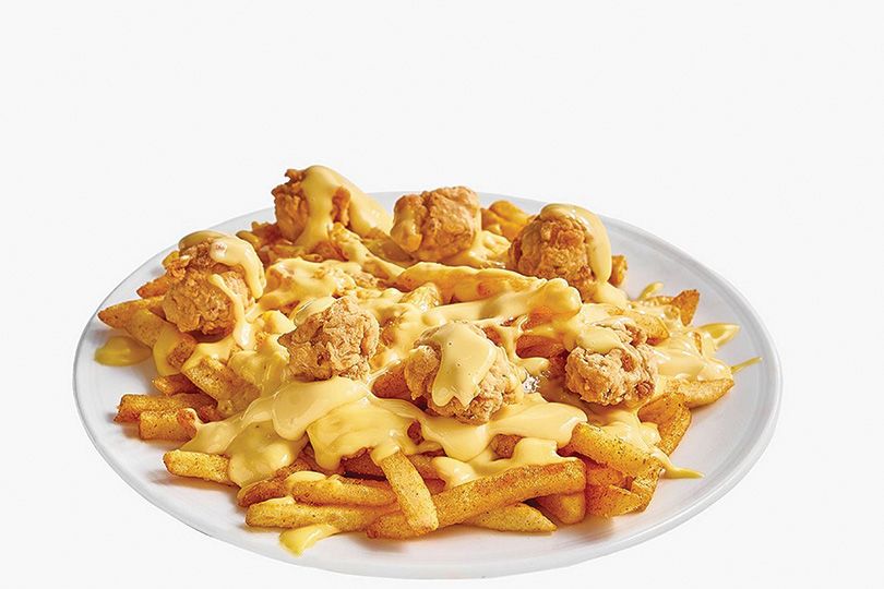 Cheese Fries Chicken