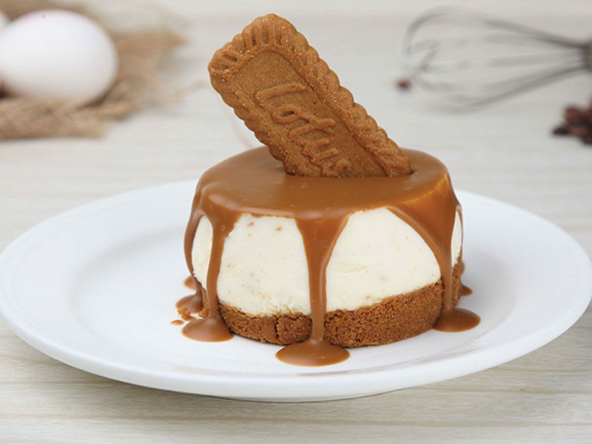 lotus cheesecake