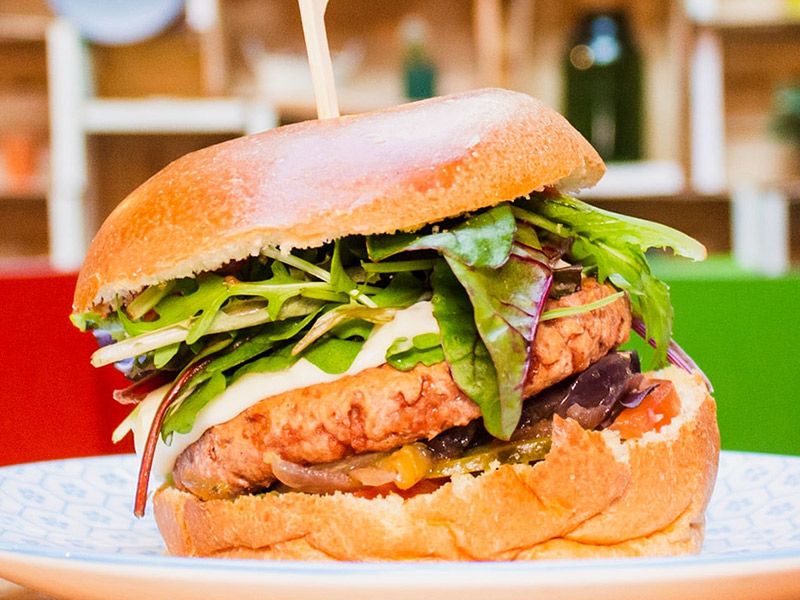 Chicken Burger Sandwich Meal