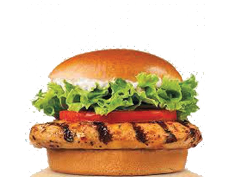 Chicken Grill Burger