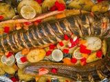 Conger Eel Fish