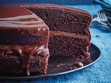 Fudge Torte - Size20