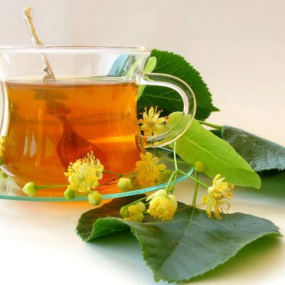 Tilia