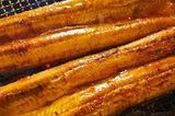 Grilled Eel Fish