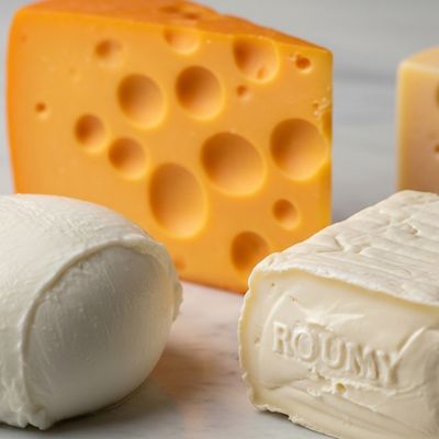 Cheese