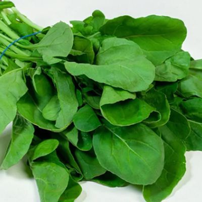 Arugula