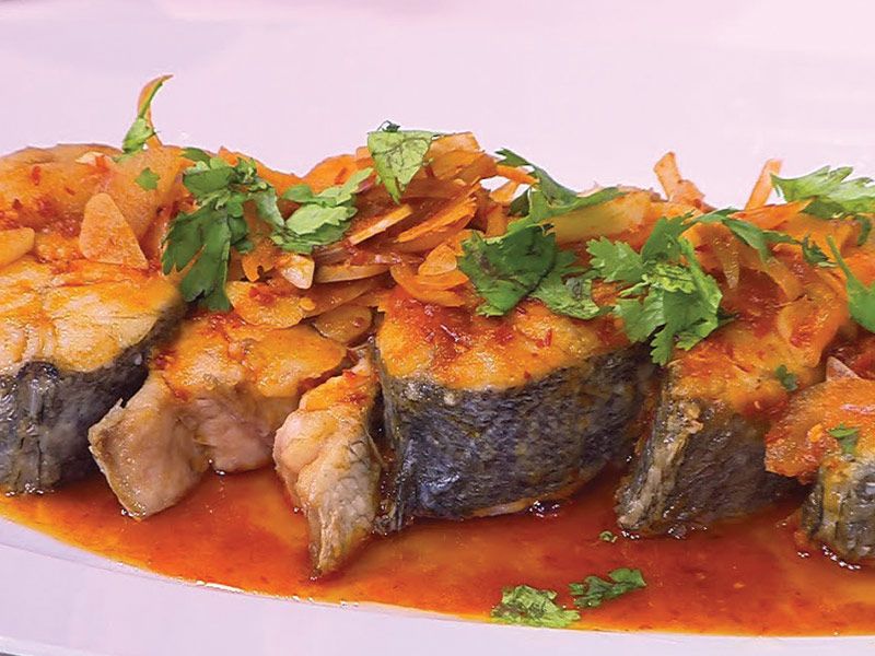Croaker Gizel Fish