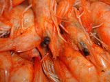 Large Shrimps - Kilo