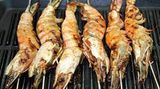 Large Shrimp