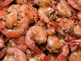 Shrimp