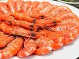 Medium Boiled Shrimp