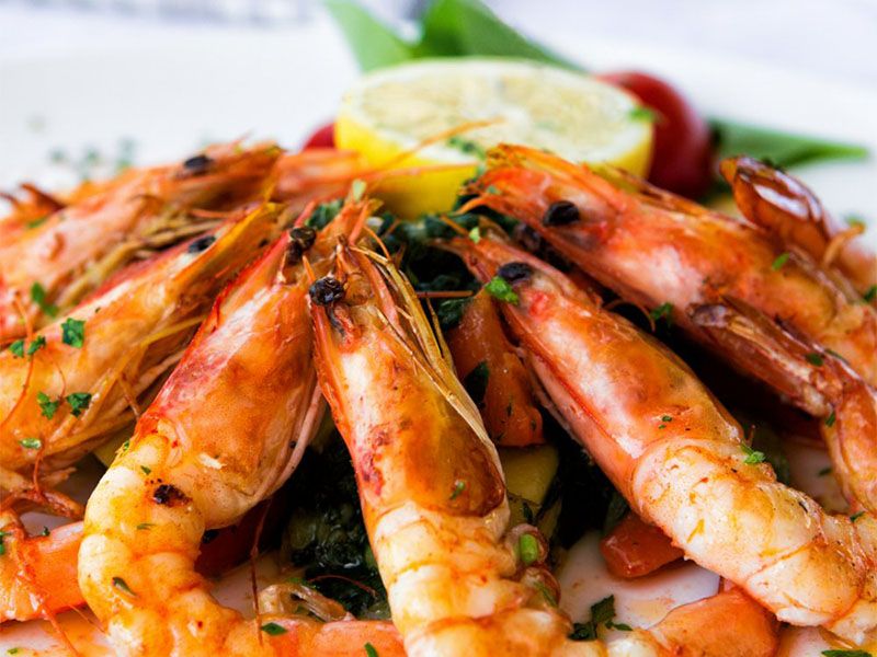 Shrimp