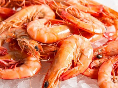 Medium Shrimp
