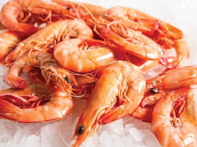Medium prawn