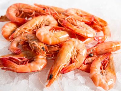 Medium Shrimp