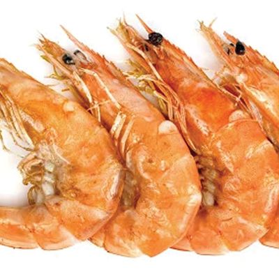 جمبري طازج جامبو