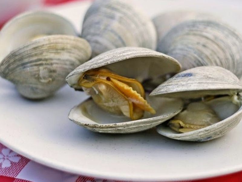 Boiled Clams
