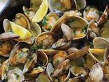 Clams