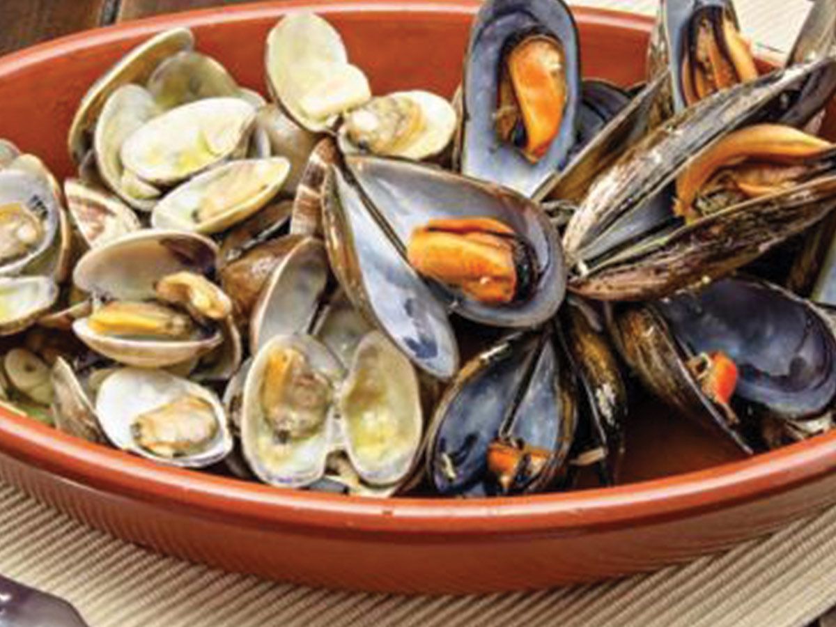 Clams