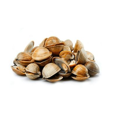 Clams